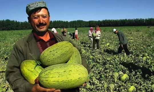 新疆巷弄隐秘宝藏，一家特色小店的奇遇之旅